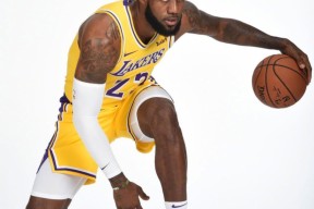 开云体育官网-足总杯倒计时，纽约尼克斯窗口期门线救险，细节引发关注，信心回归，赛季目标并未改变的简单介绍